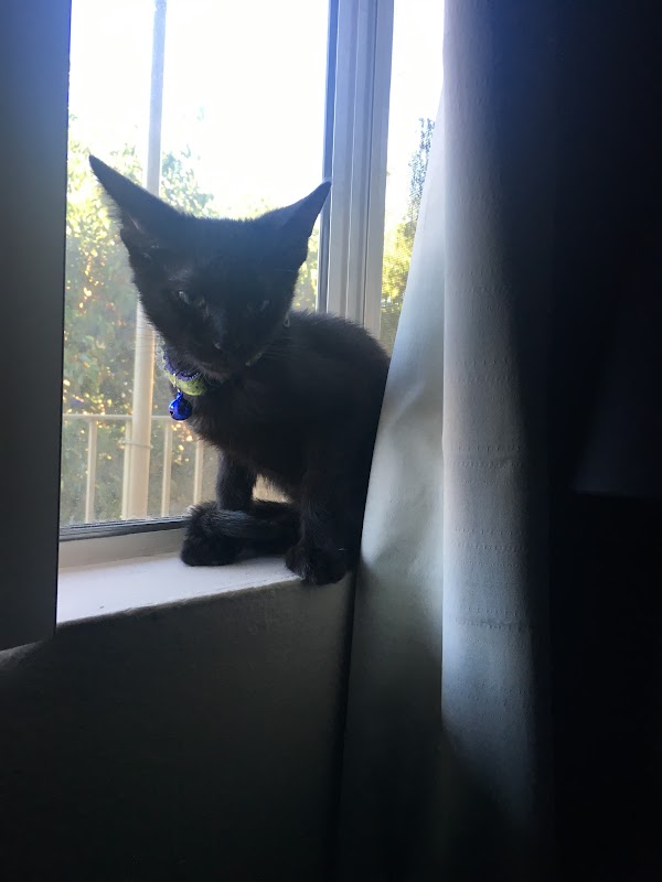 May relaxing in a shadow pattern.