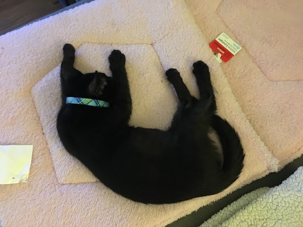 May with a playful look in her eyes.